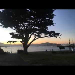 Meet your Posher, Shiva